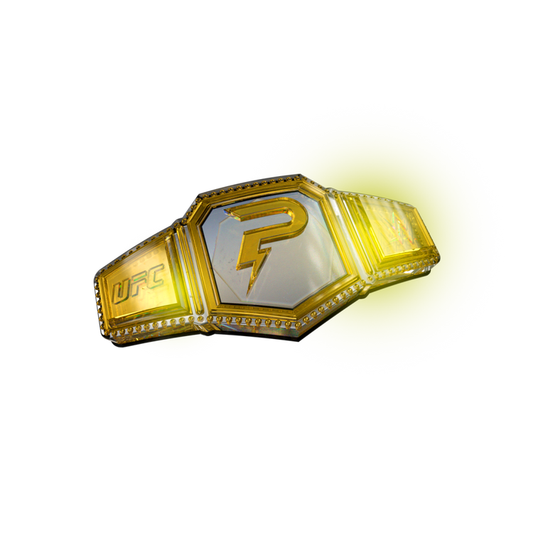 WWE Einzelkarten – WWE Trading Cards und Sammelkarten bei Pushdich TCG