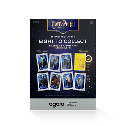 Agoro Harry Potter 25 Years of Magic Blind Box
