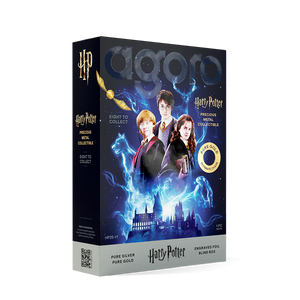 Agoro Harry Potter 25 Years of Magic Blind Box