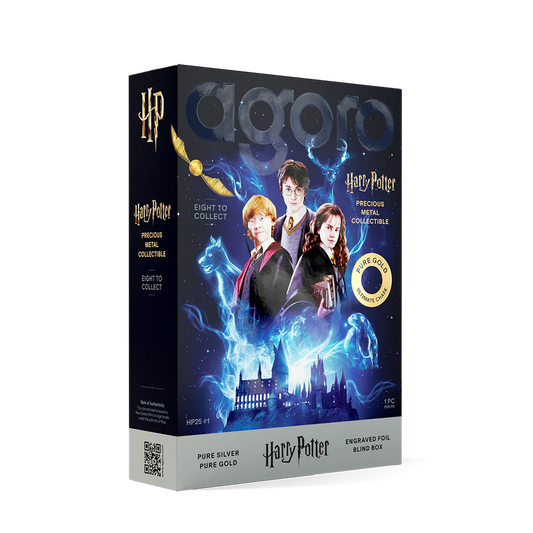 Agoro Harry Potter 25 Years of Magic Blind Box