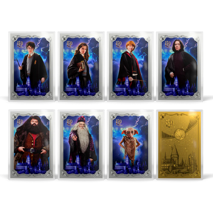 Agoro Harry Potter 25 Years of Magic Blind Box